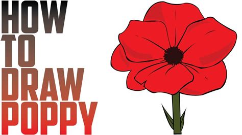 poppy flower drawing easy|poppy drawing for beginners.